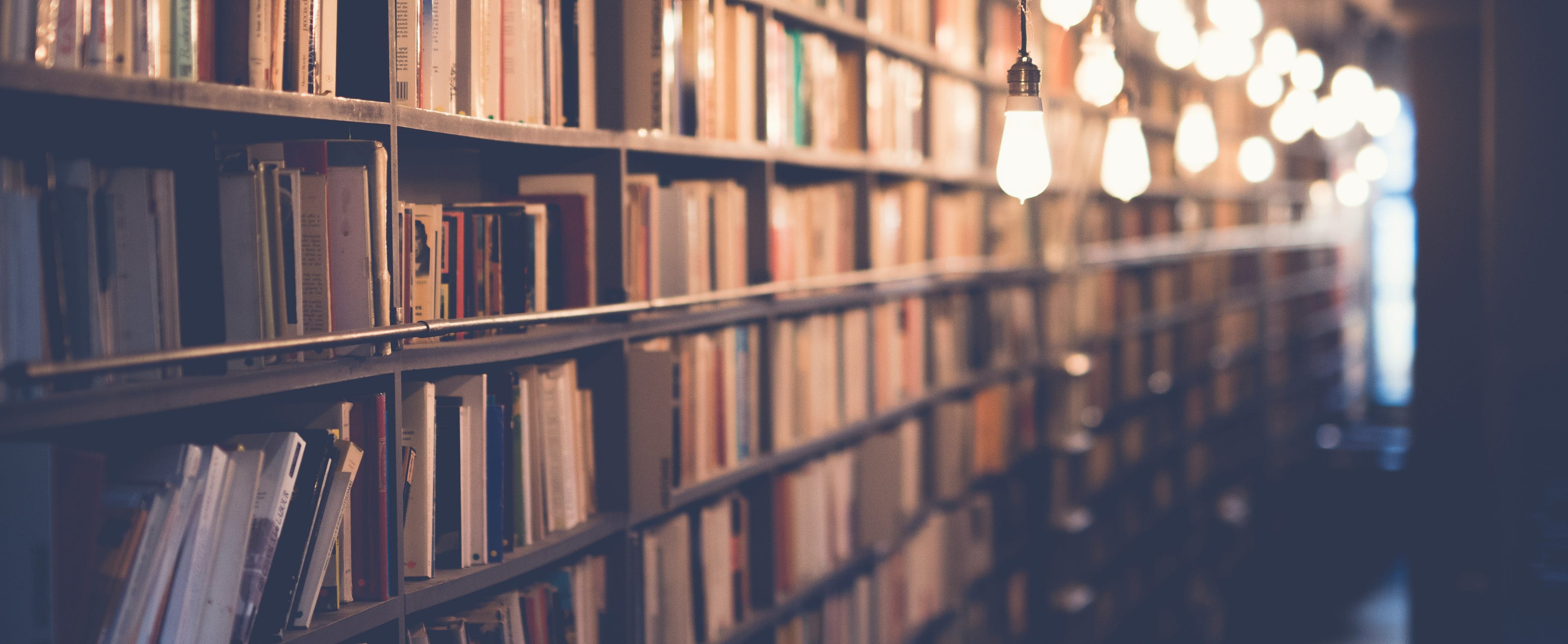 bookshelves with lights