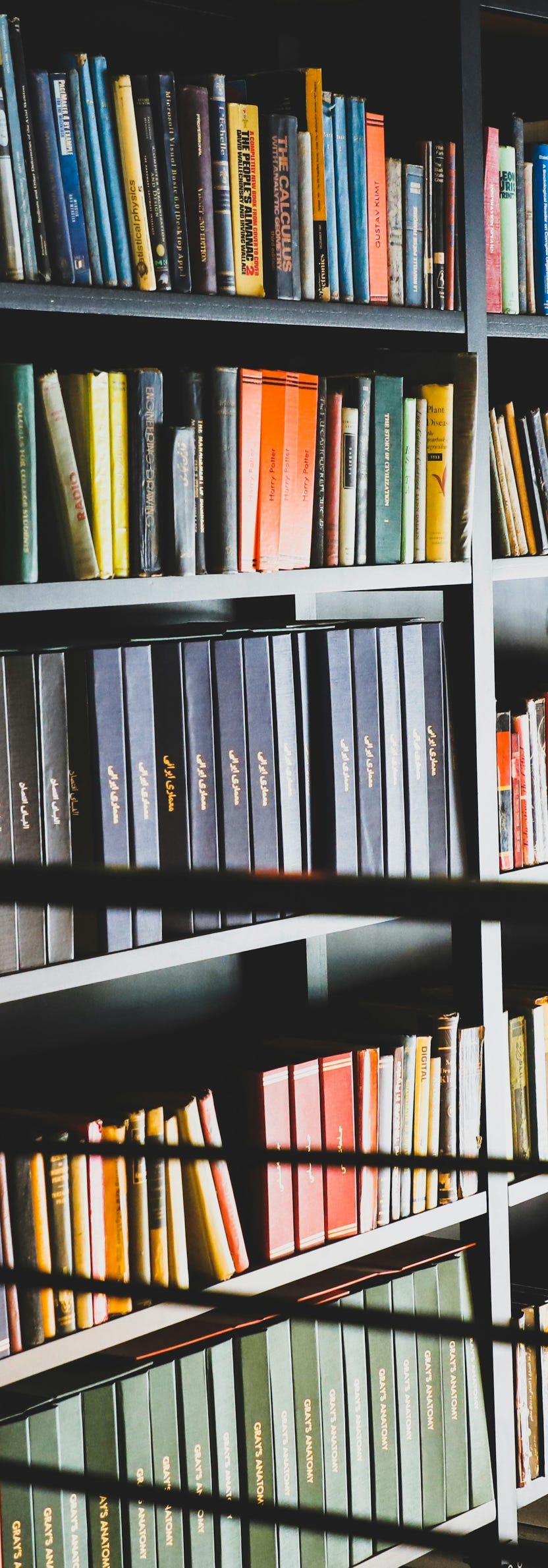 books on bookshelves